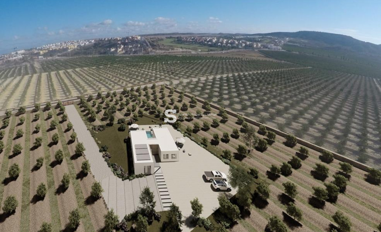 New Build - Villa - Algorfa - Lomas De La Juliana