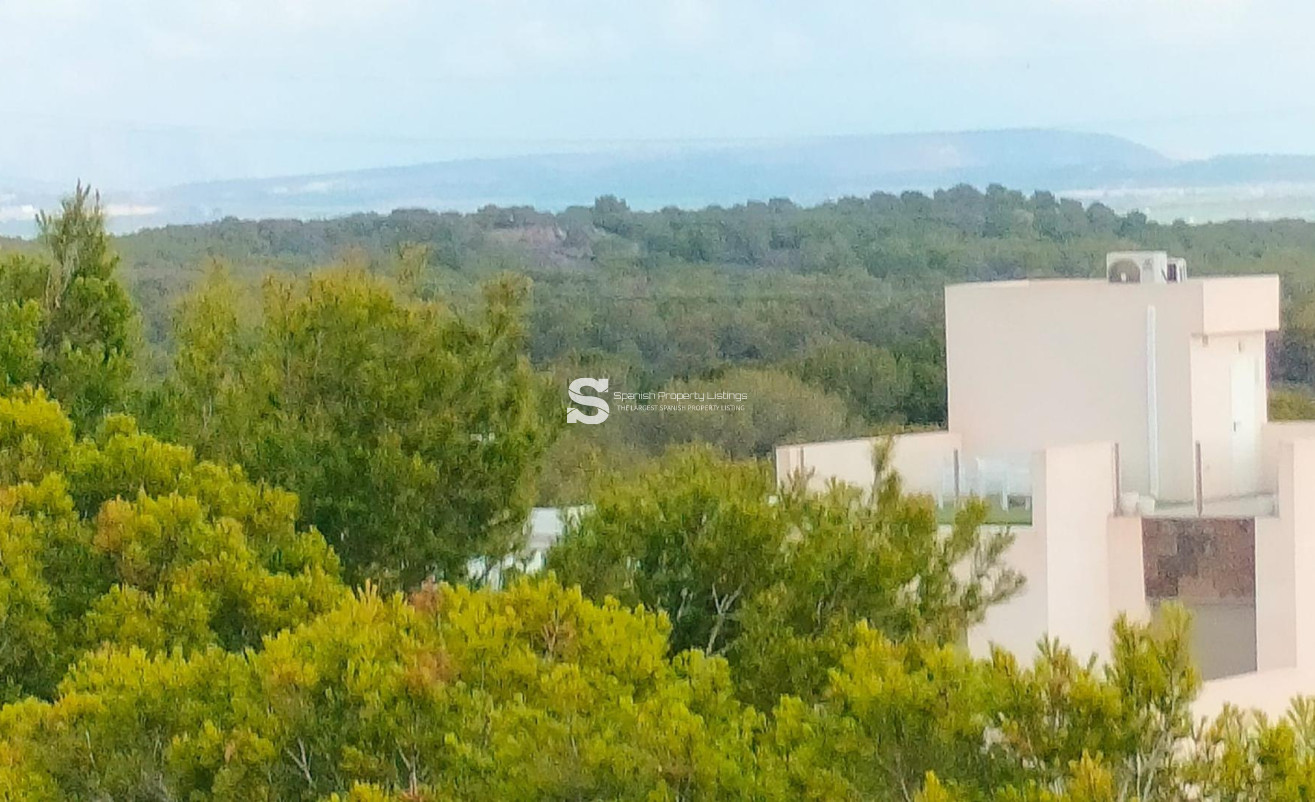 Nouvelle construction - Town House - Orihuela Costa - Pau 26