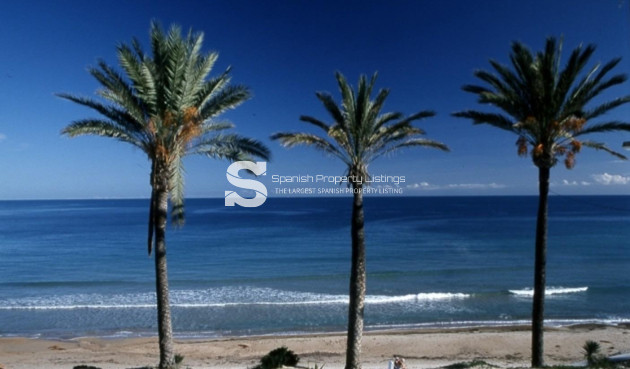 New Build - Bungalow - Pilar de la Horadada - Parque Ramon eugenio Escudero