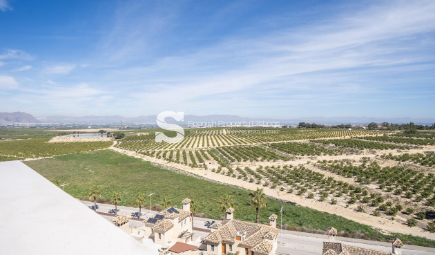 New Build - Villa - Algorfa - La Finca Golf