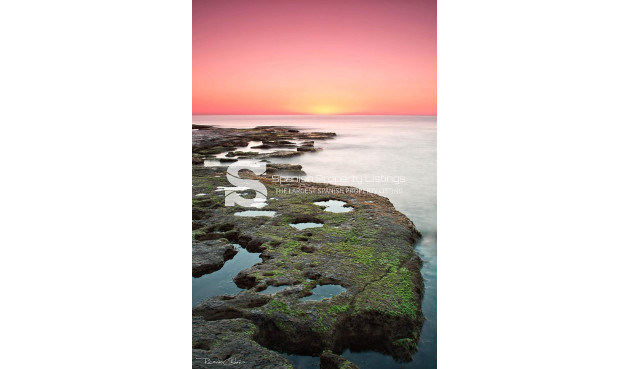 New Build - Bungalow - Torrevieja - Altos del Sol