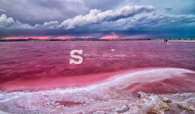 New Build - Bungalow - Torrevieja - Altos del Sol