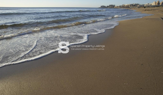 Obra nueva - Bungalow - Torrevieja - Altos del Sol