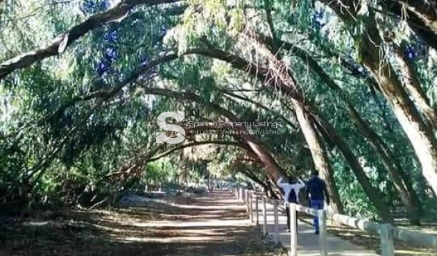 Obra nueva - Bungalow - Torrevieja - Altos del Sol