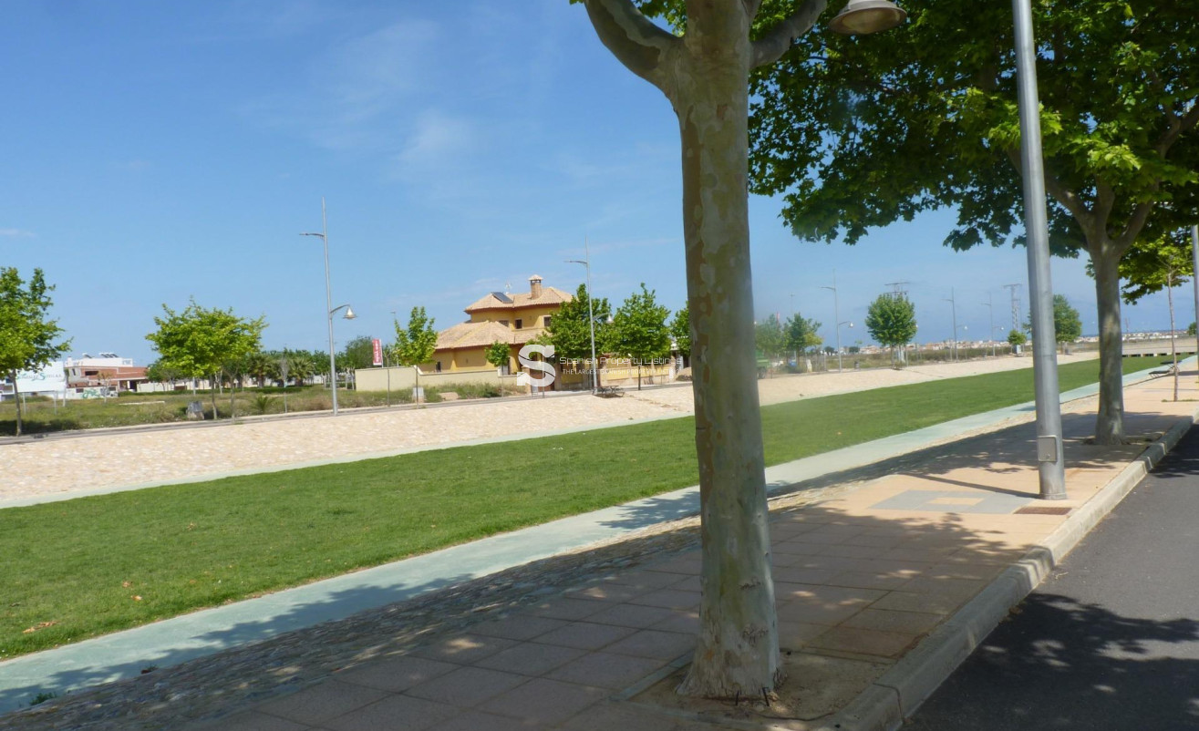 New Build - Bungalow - Pilar de la Horadada - pueblo