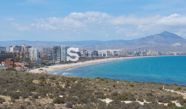 New Build - Apartment - San Juan Alicante - Franc Espinós