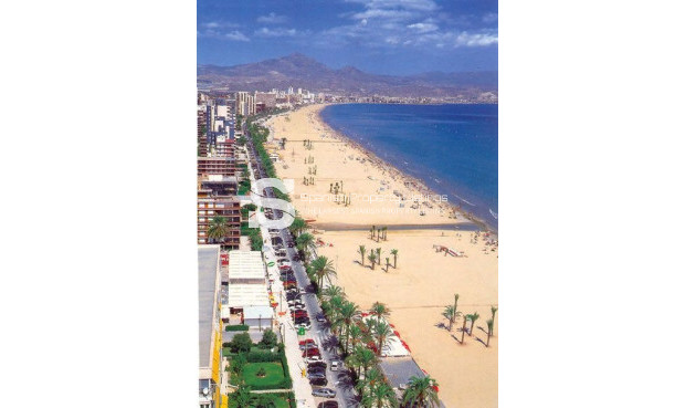 New Build - Apartment - San Juan Alicante - Franc Espinós