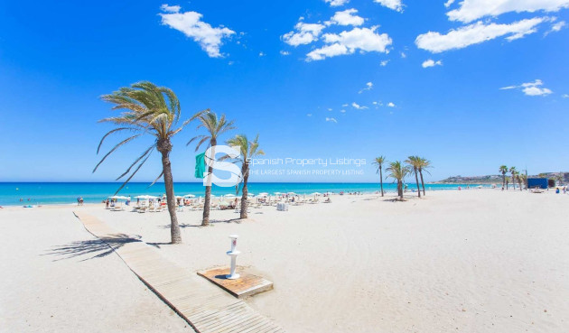 New Build - Apartment - San Juan Alicante - Franc Espinós