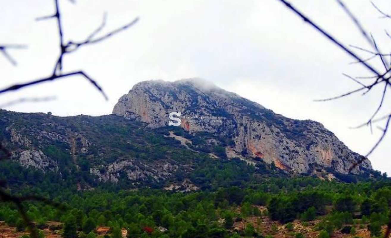 New Build - Villa - La Romana - Batistes