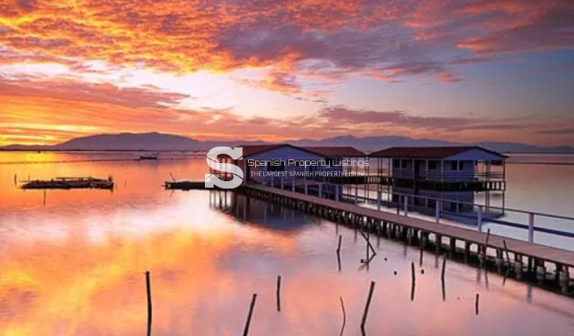 Obra nueva - Bungalow - San Pedro del Pinatar - Los Pinos