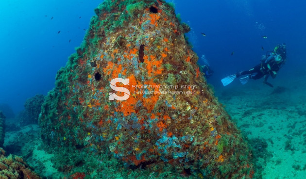 New Build - Penthouse - Aguilas - Isla Del Fraile