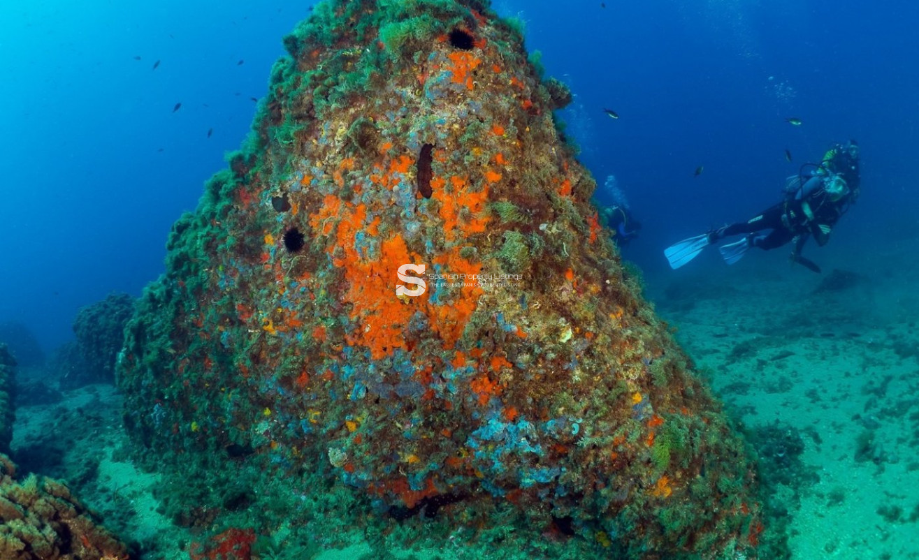 Obra nueva - Apartment - Aguilas - Isla Del Fraile