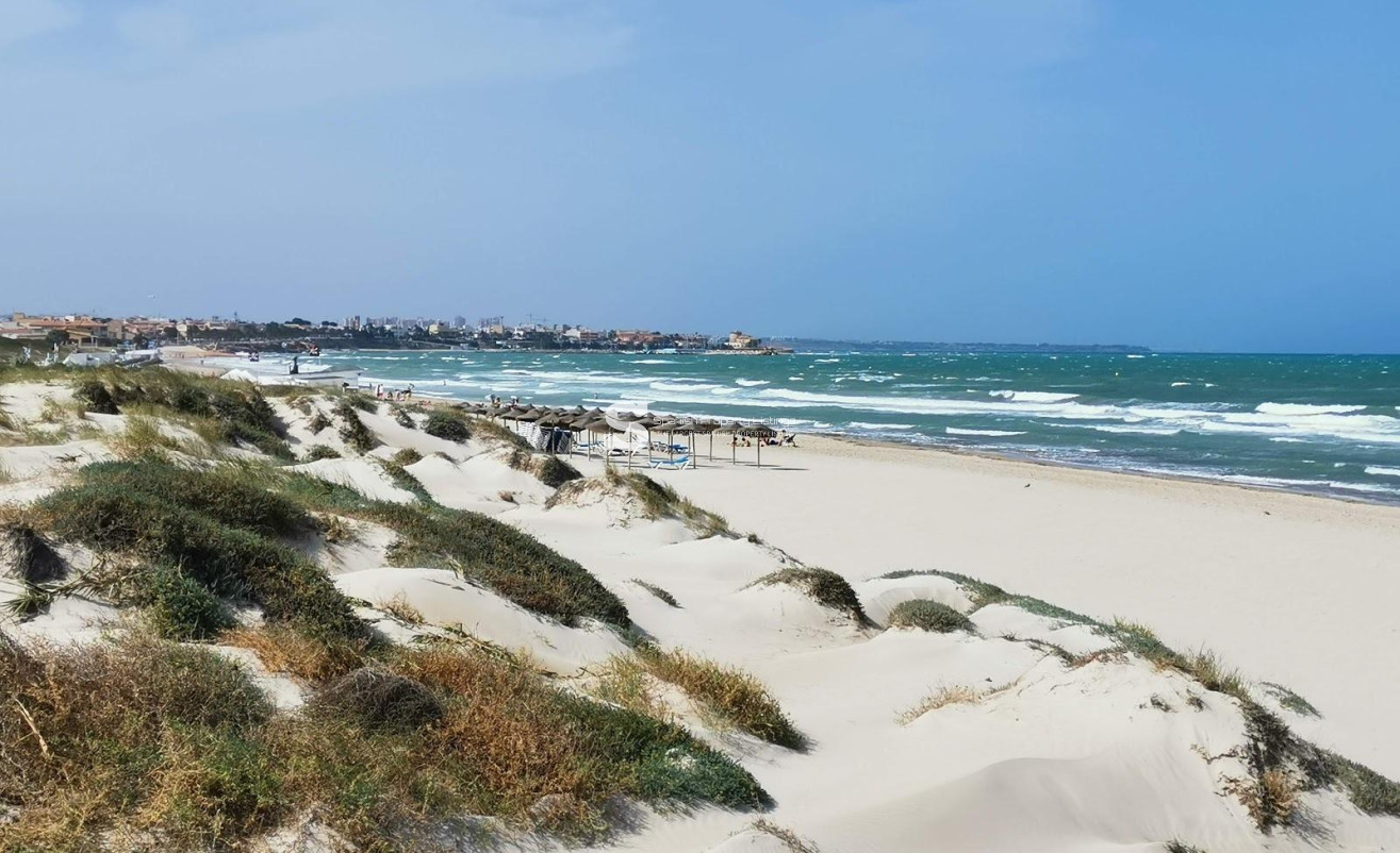 Obra nueva - Villa - Pilar de la Horadada