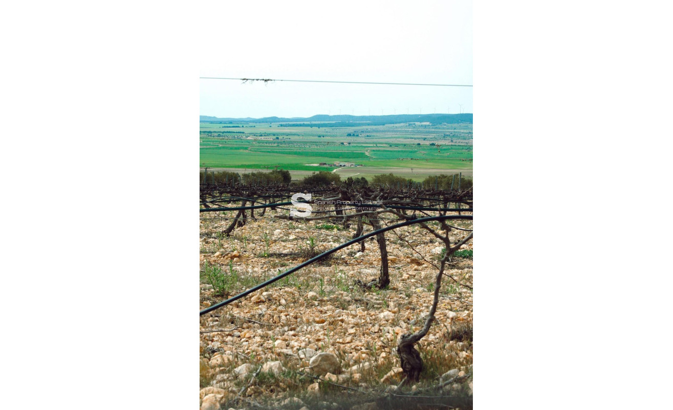 New Build - Villa - Yecla