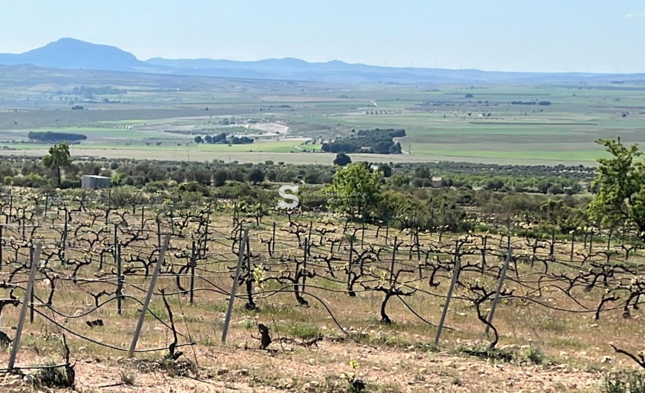 New Build - Villa - Yecla