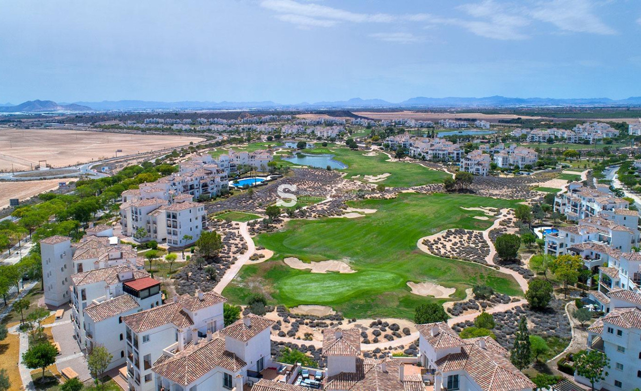 Nouvelle construction - Villa - Sucina