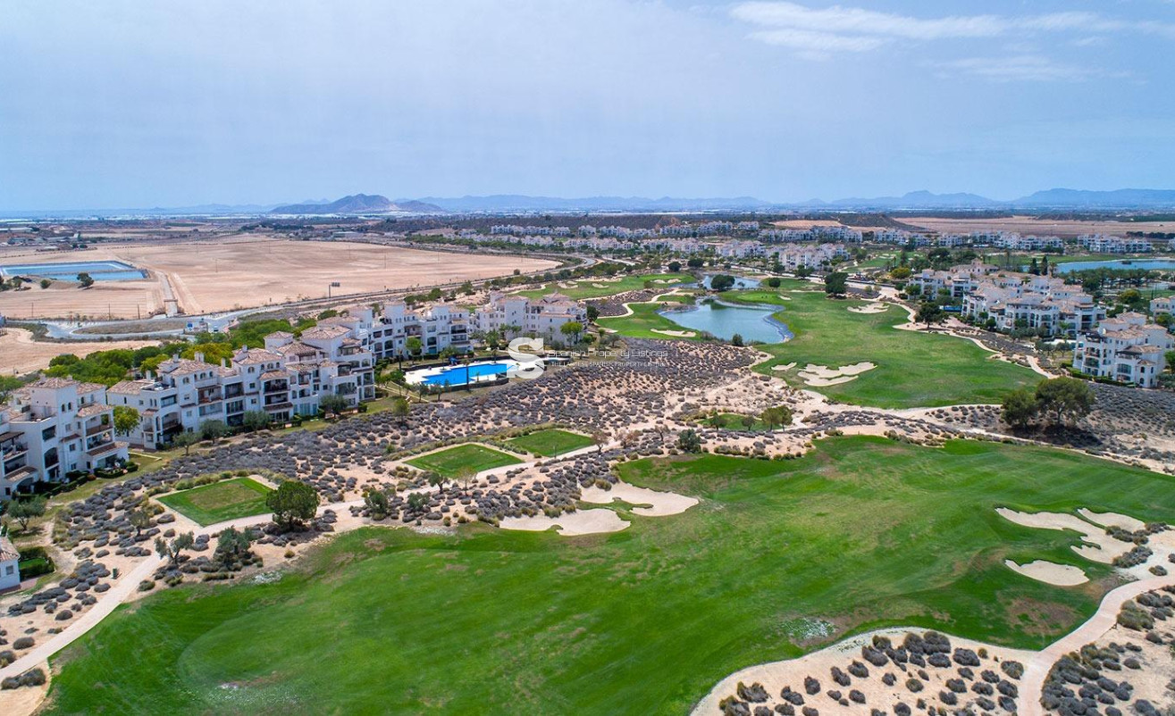 Nouvelle construction - Villa - Sucina