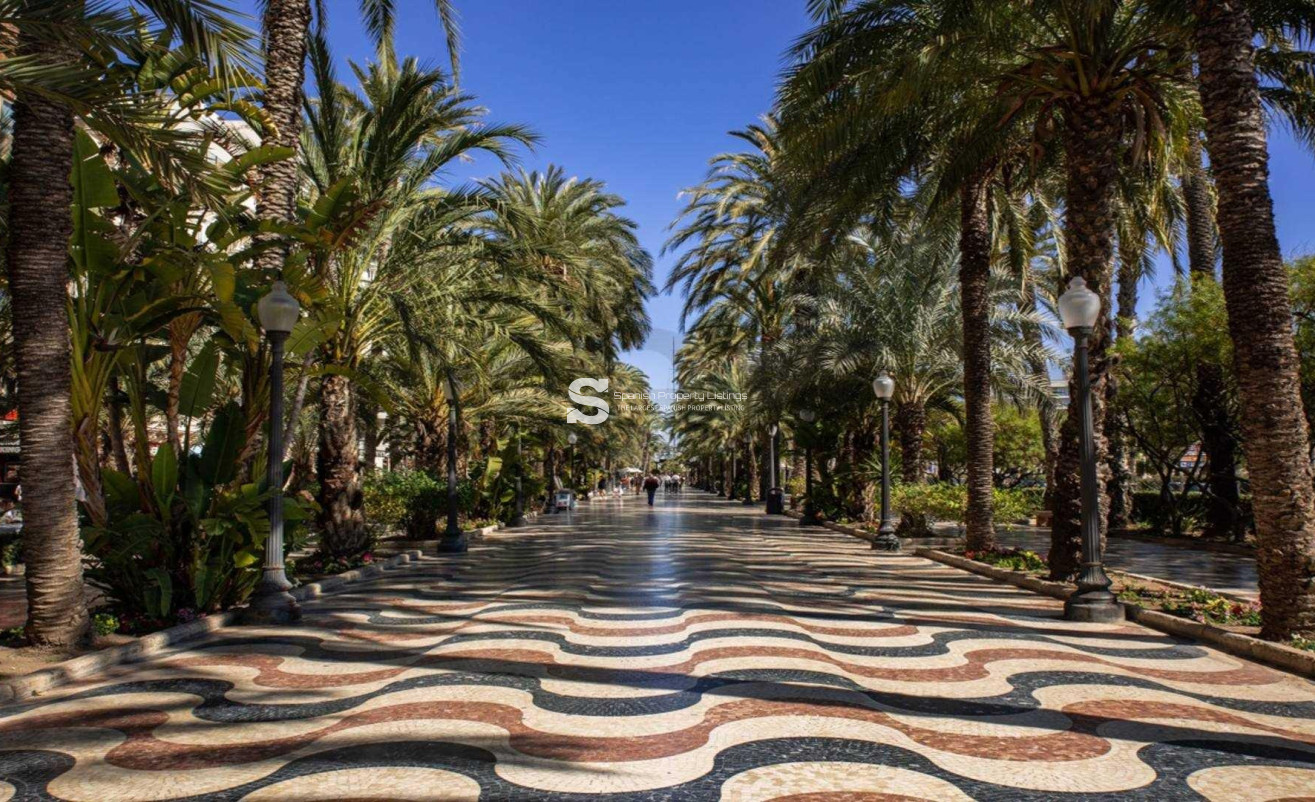 New Build - Apartment - Alicante - Centro