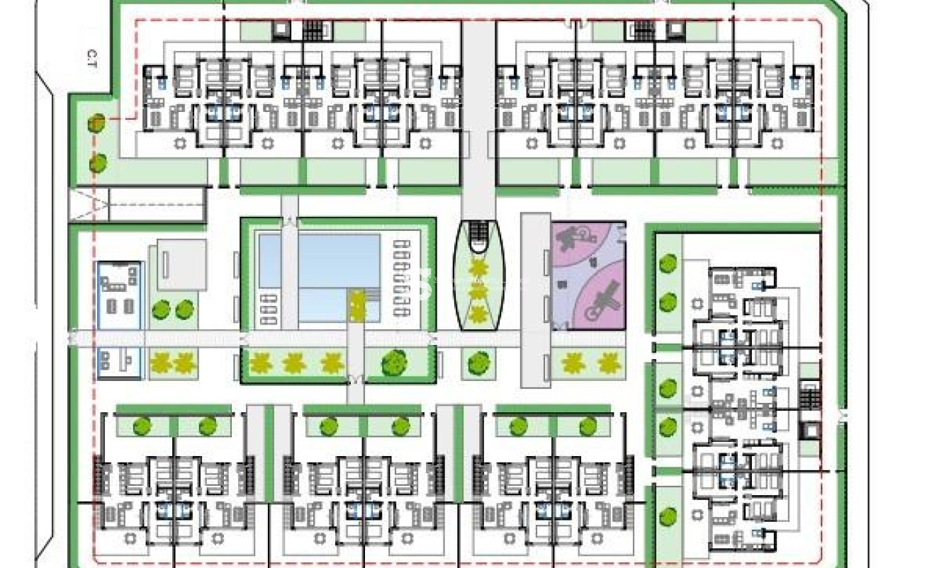 New Build - Penthouse - Pilar de la Horadada - Playa de las Higuericas
