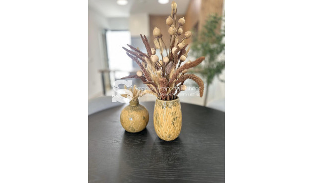 Obra nueva - Bungalow - San Fulgencio - Pueblo