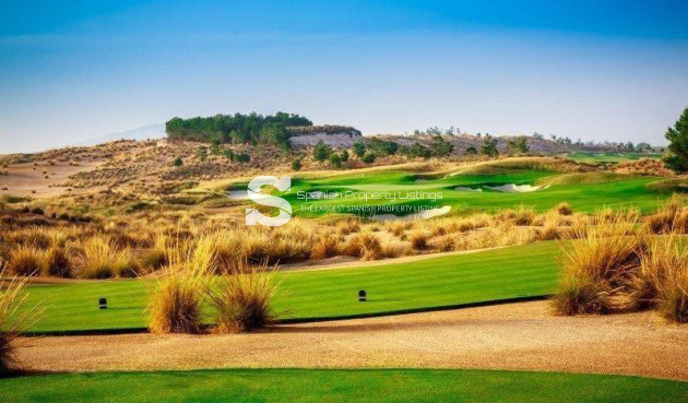 New Build - Villa - Alhama De Murcia - Condado De Alhama