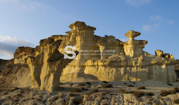 New Build - Bungalow - Fuente Álamo - La Pinilla