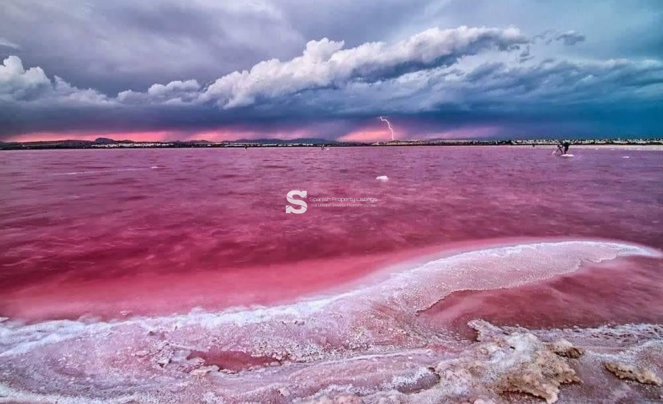 New Build - Bungalow - Torrevieja - Altos del Sol