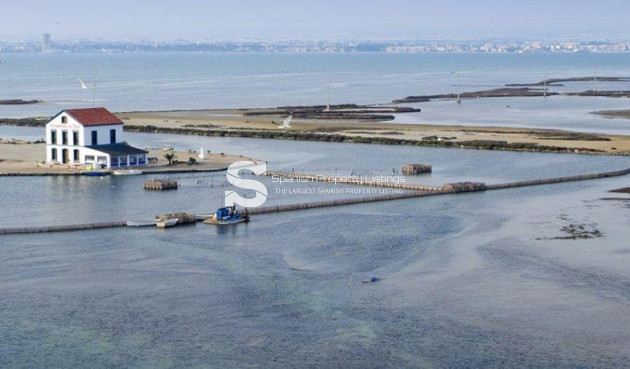 New Build - Villa - San Pedro del Pinatar - Centro