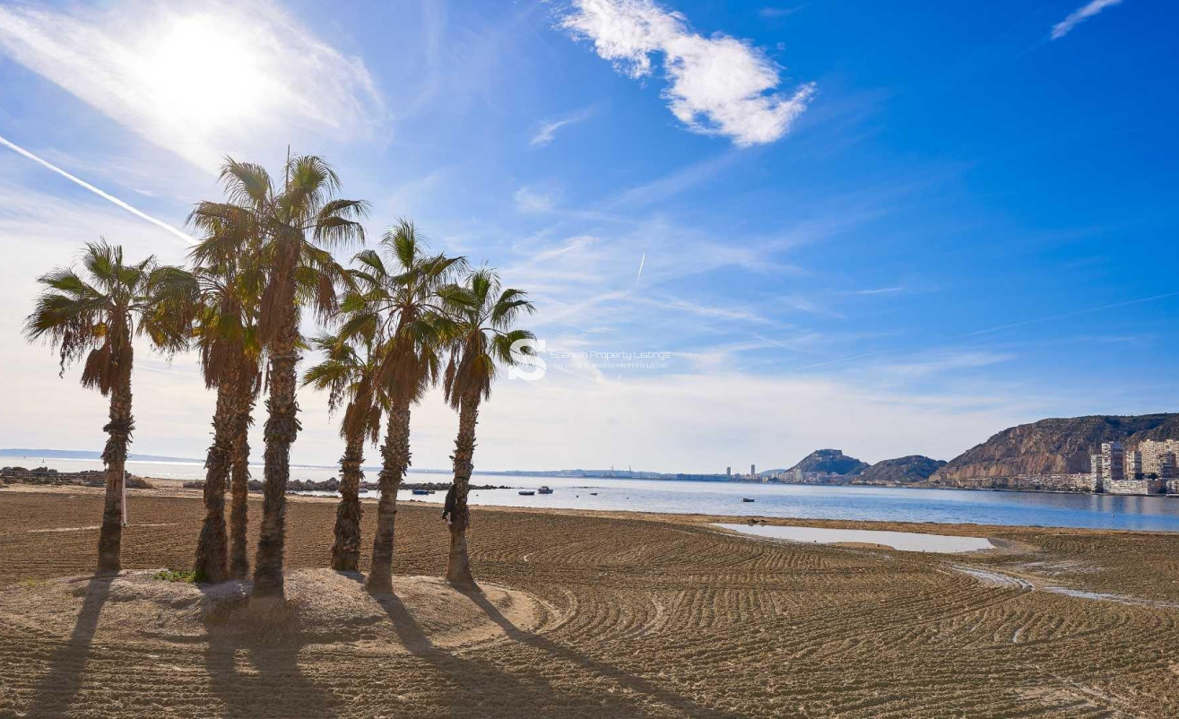 New Build - Villa - Els Poblets - Partida Barranquets