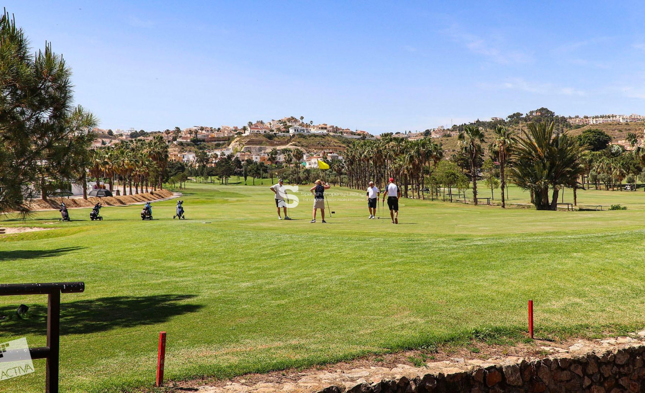 Obra nueva - Villa - Rojales - Ciudad Quesada