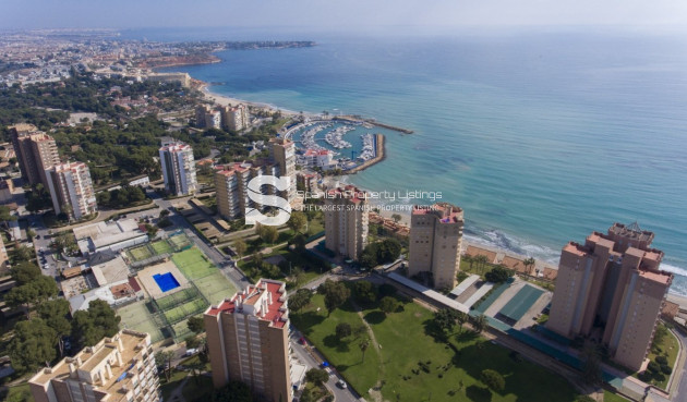 New Build - Apartment - Orihuela Costa - Campoamor