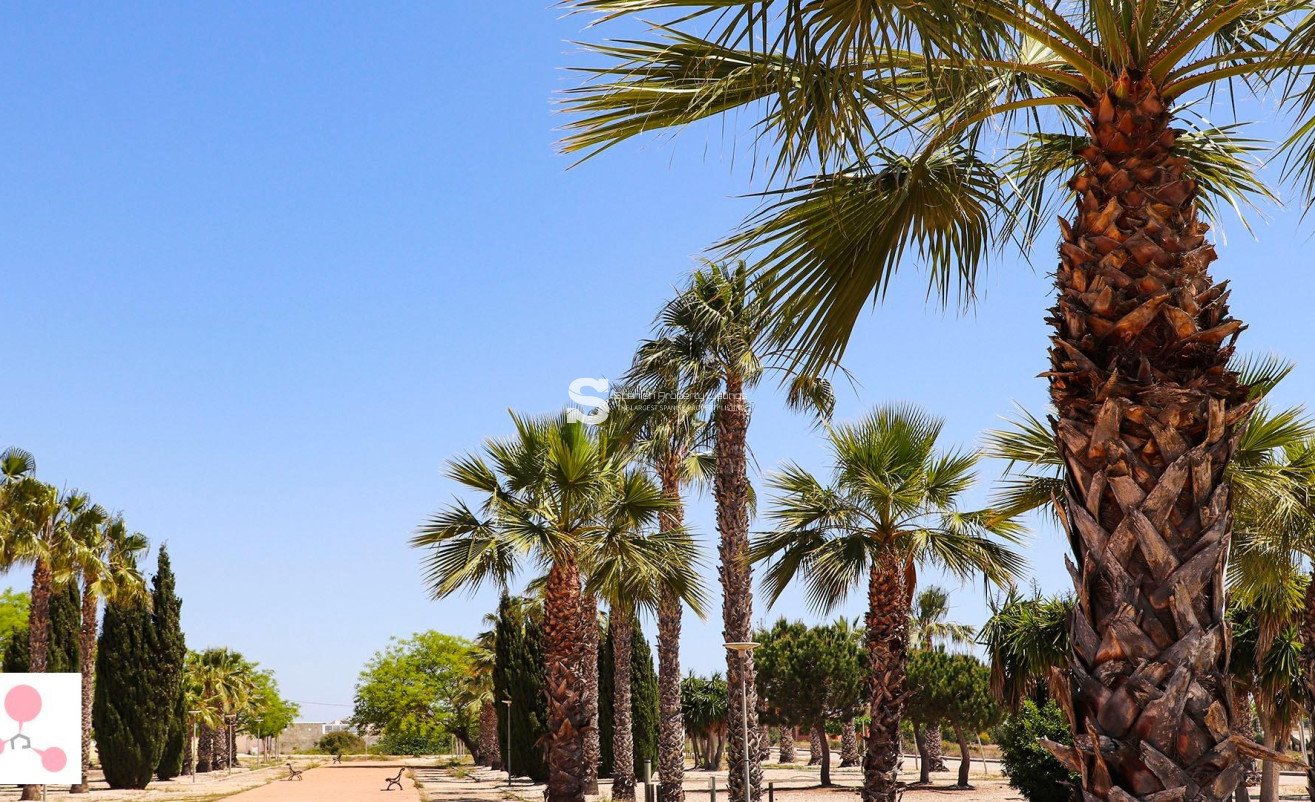 Nouvelle construction - Villa - San Fulgencio - La Escuera