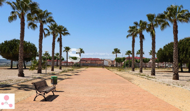 New Build - Villa - San Fulgencio - La Escuera