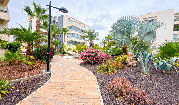 Resale - Apartment - Orihuela Costa - Villamartín