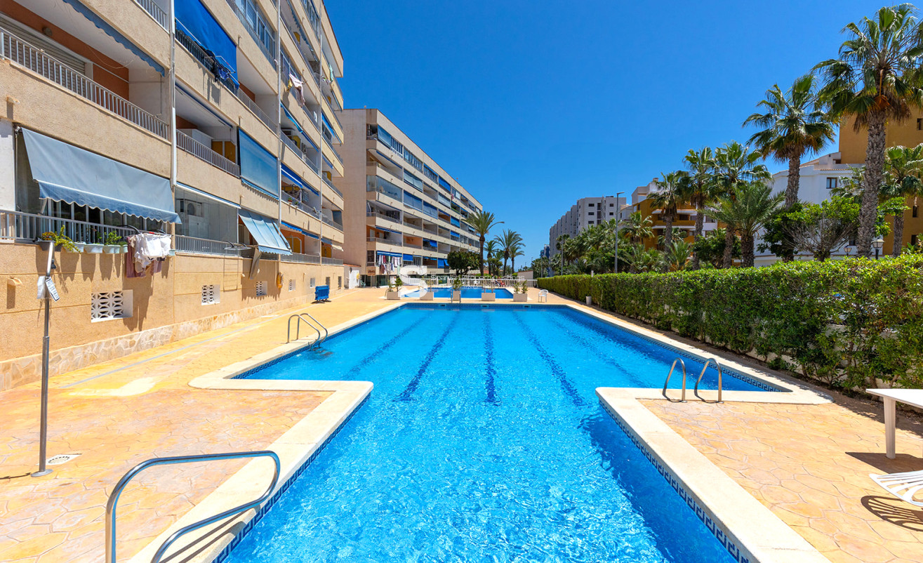 Reventa - Apartment - Torrevieja - Rocio del Mar