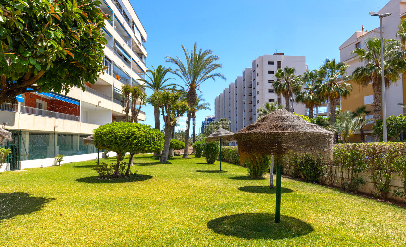 Reventa - Apartment - Torrevieja - Rocio del Mar