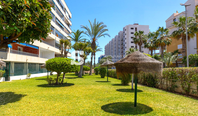 Resale - Apartment - Torrevieja - Rocio del Mar