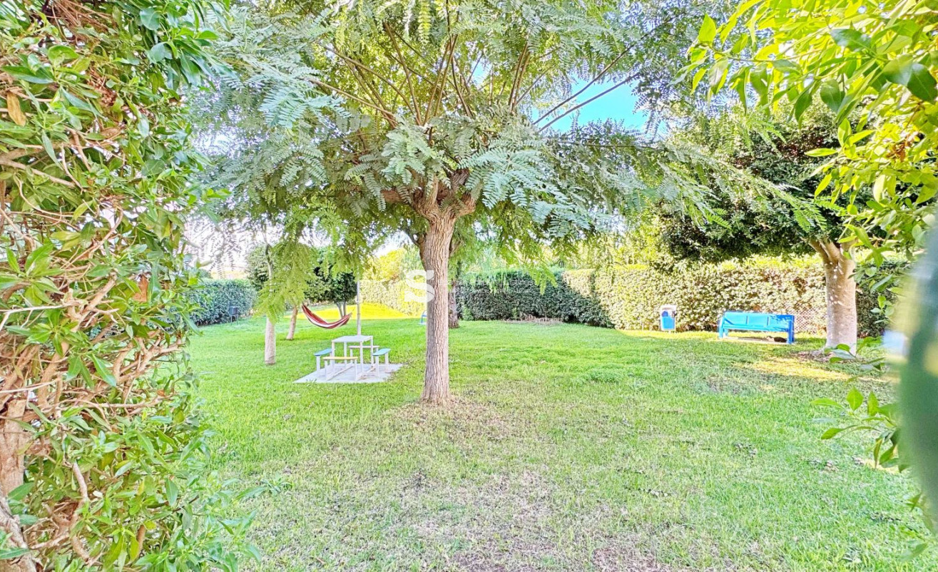 Revente - Apartment - Torrevieja - La Mata