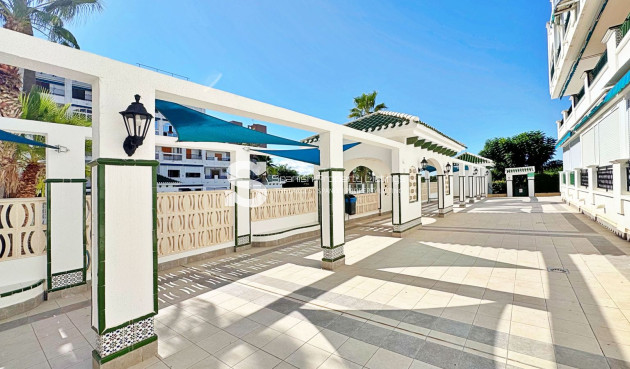Resale - Apartment - Torrevieja - La Mata