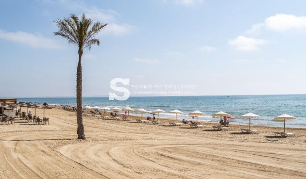 New Build - Apartment - Guardamar del Segura - Pueblo