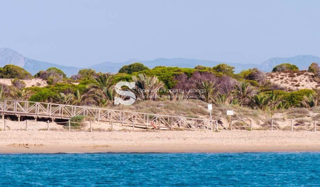 New Build - Apartment - Guardamar del Segura - Pueblo