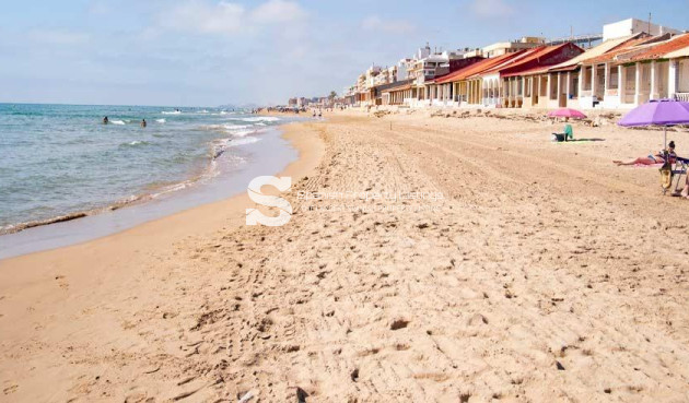 New Build - Apartment - Guardamar del Segura - Pueblo