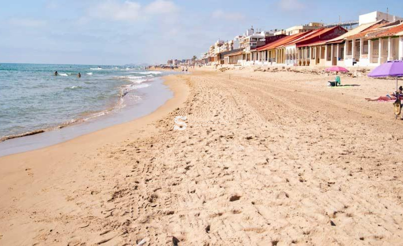 Nouvelle construction - Attique - Guardamar del Segura - Pueblo