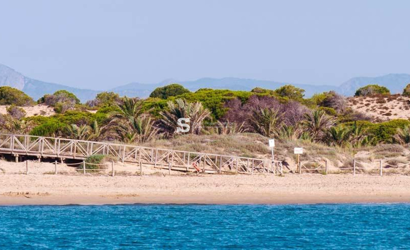 Nouvelle construction - Attique - Guardamar del Segura - Pueblo