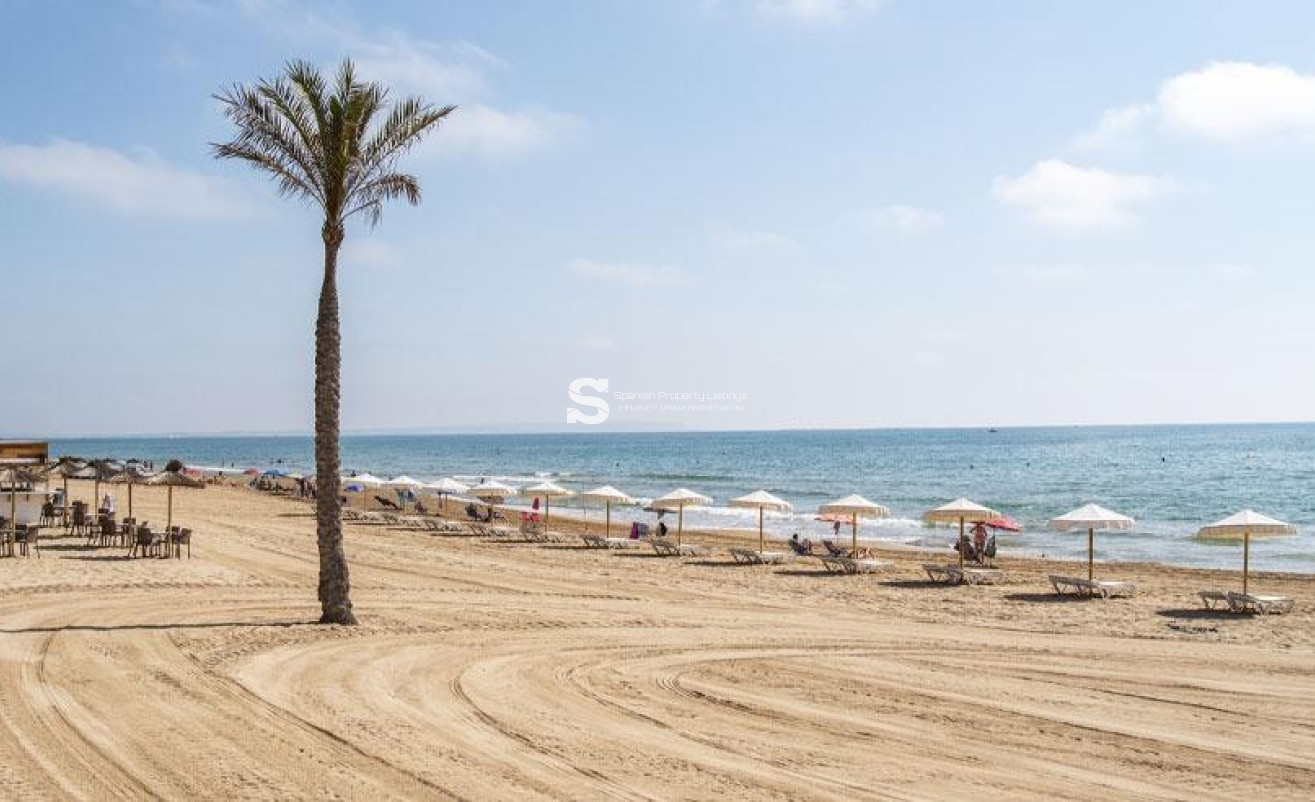 Obra nueva - Apartment - Guardamar del Segura - Pueblo