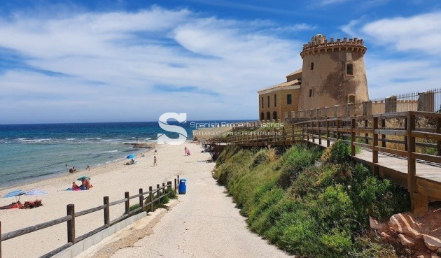 New Build - Villa - Pilar de la Horadada - pueblo