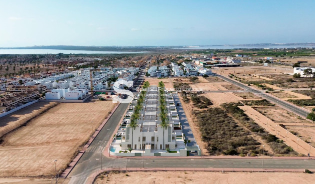 Obra nueva - Villa - Rojales - Lo Marabú