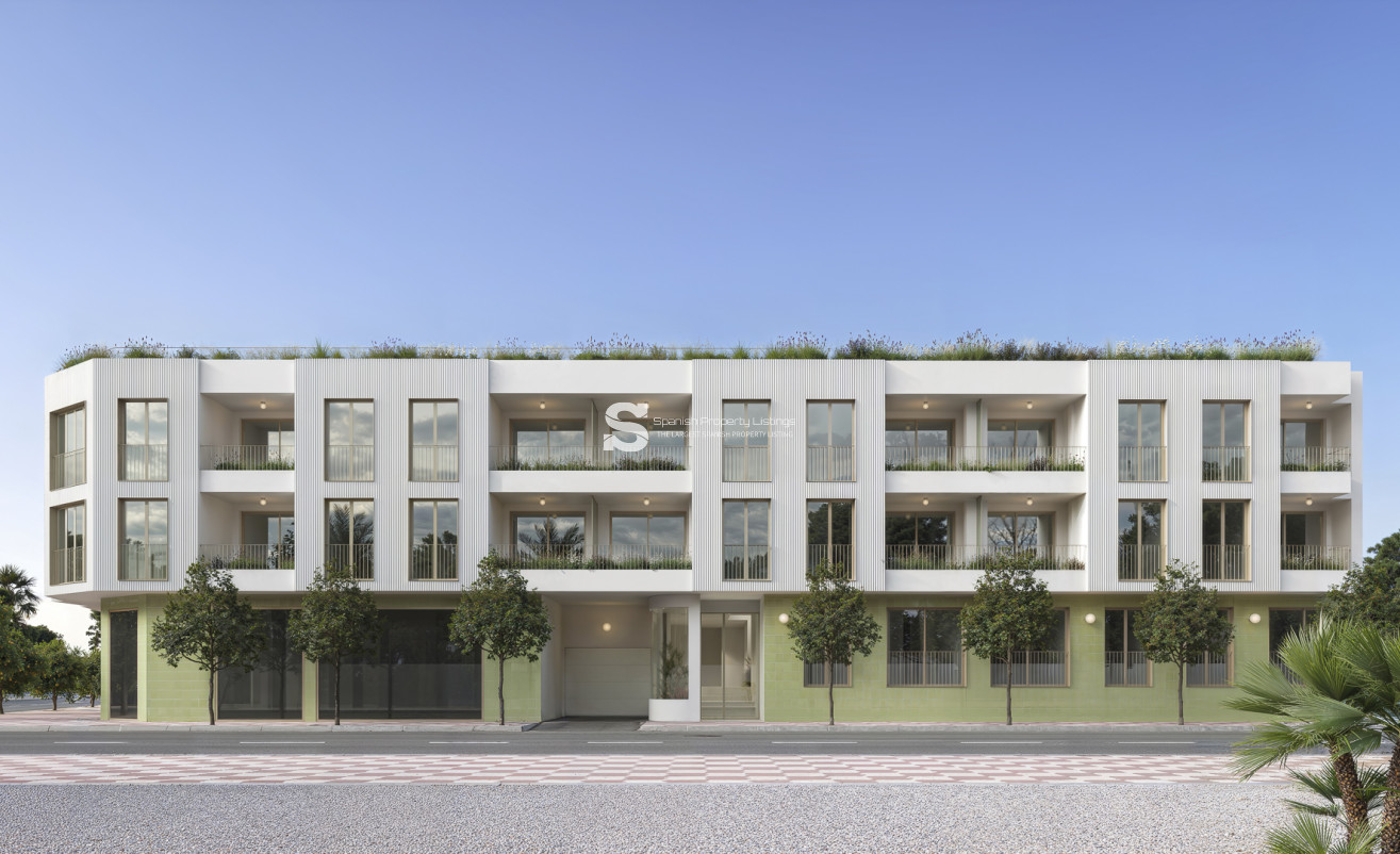 Obra nueva - Apartment - Jacarilla