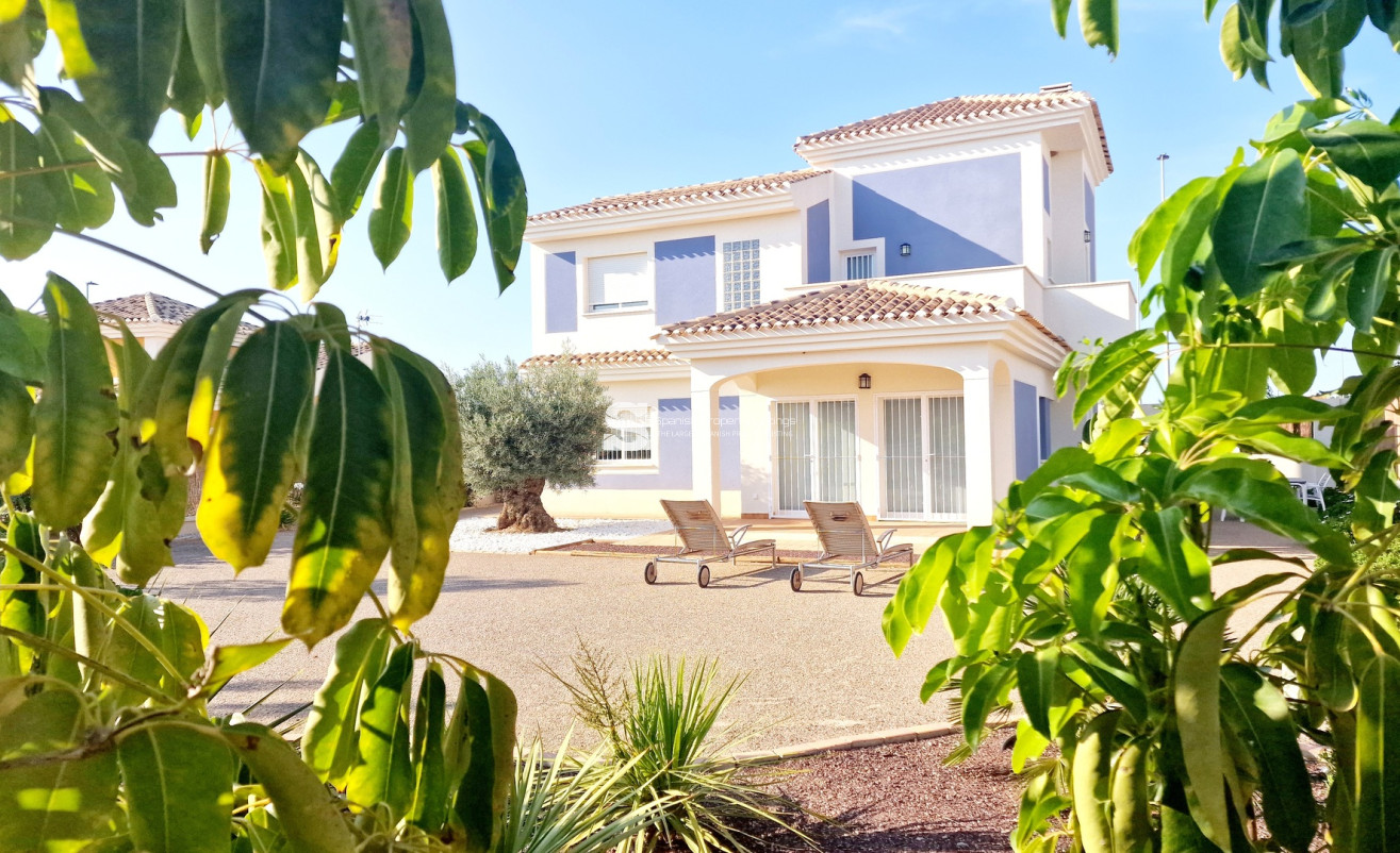 New Build - detached - Purias