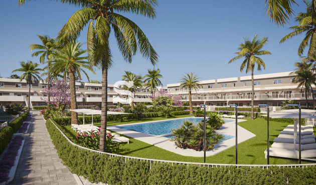 Nouvelle construction - ground-floor - Monforte del Cid